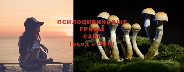 гашишное масло Лабытнанги