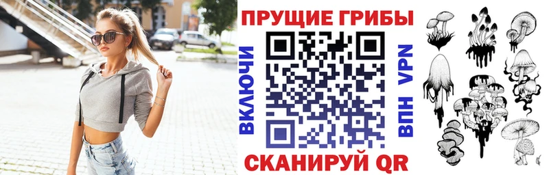 Псилоцибиновые грибы Psilocybe  Владикавказ 